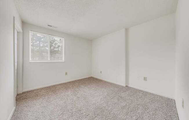 A room with a carpeted floor and a window with blinds.