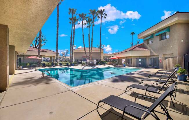 A pool surrounded by palm trees and lounge chairs.