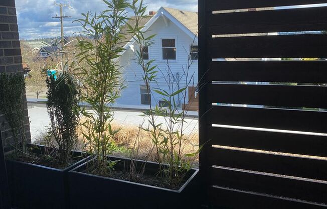 Studio, 1 bath, 350 sqft, $1,425, Unit 206