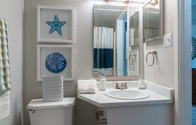 a bathroom with a sink and a toilet and a mirror