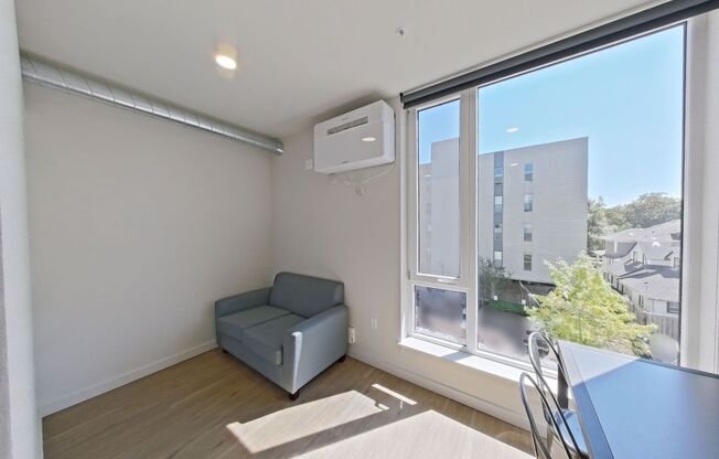 Studio, 1 bath, 314 sqft, $1,250, Unit 309
