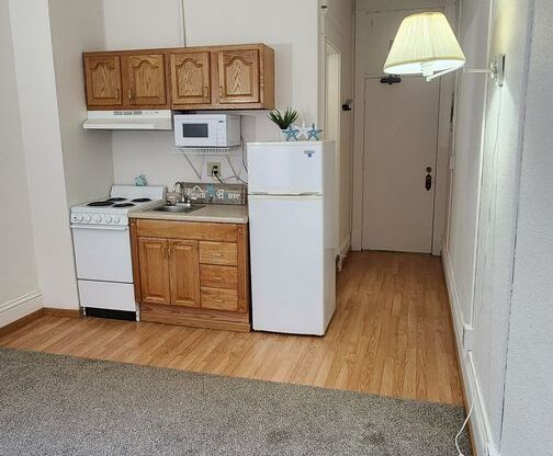 Studio, 1 bath, 195 sqft, $470, Unit 213