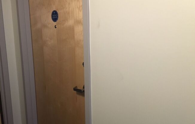 1 bed, 1 bath, 465 sqft, $1,450, Unit Apt 225