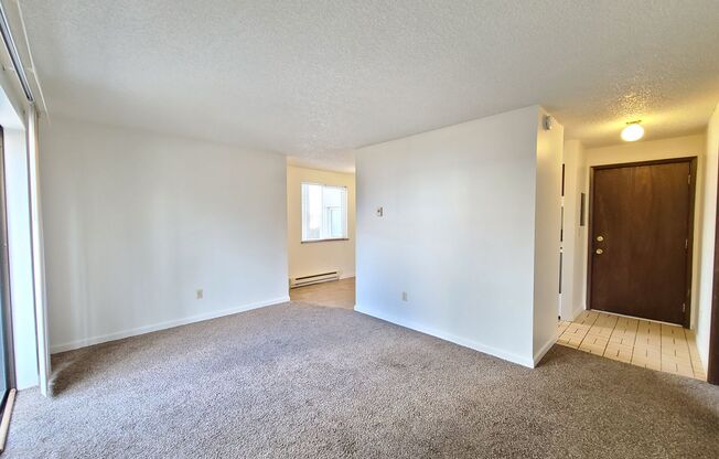 1 bed, 1 bath, 500 sqft, $950, Unit 721 S Lincoln Pl #2