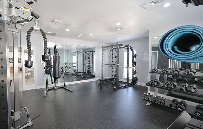 A gym with a variety of equipment including weights and a bench.