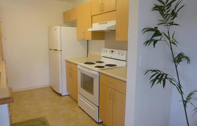 3 beds, 2 baths, $2,995