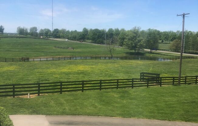 Kentucky mansion overlooking horse farm with stunning views 240323