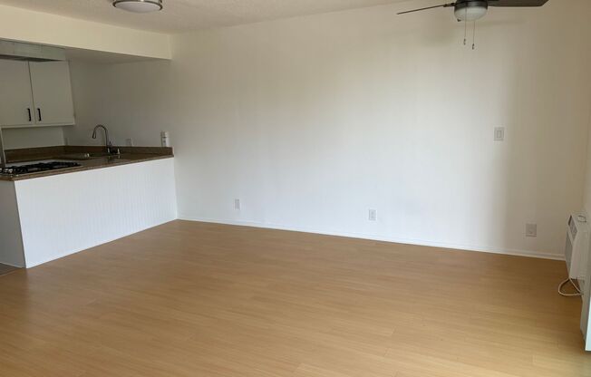 1 bed, 1 bath, 540 sqft, $1,998, Unit 108