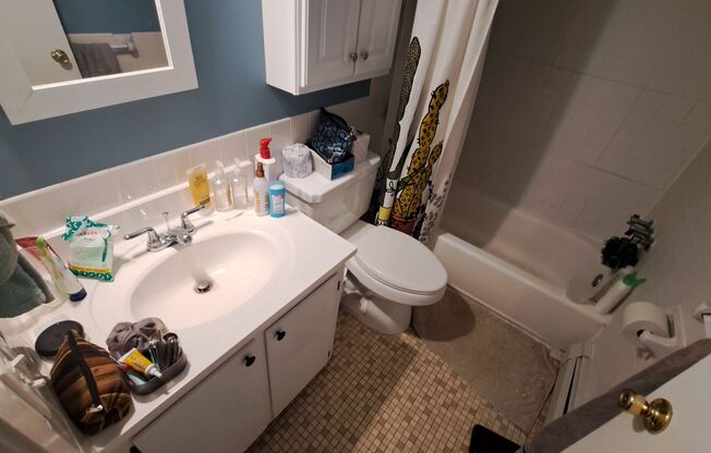 1 bed, 1 bath, 550 sqft, $1,175, Unit 301
