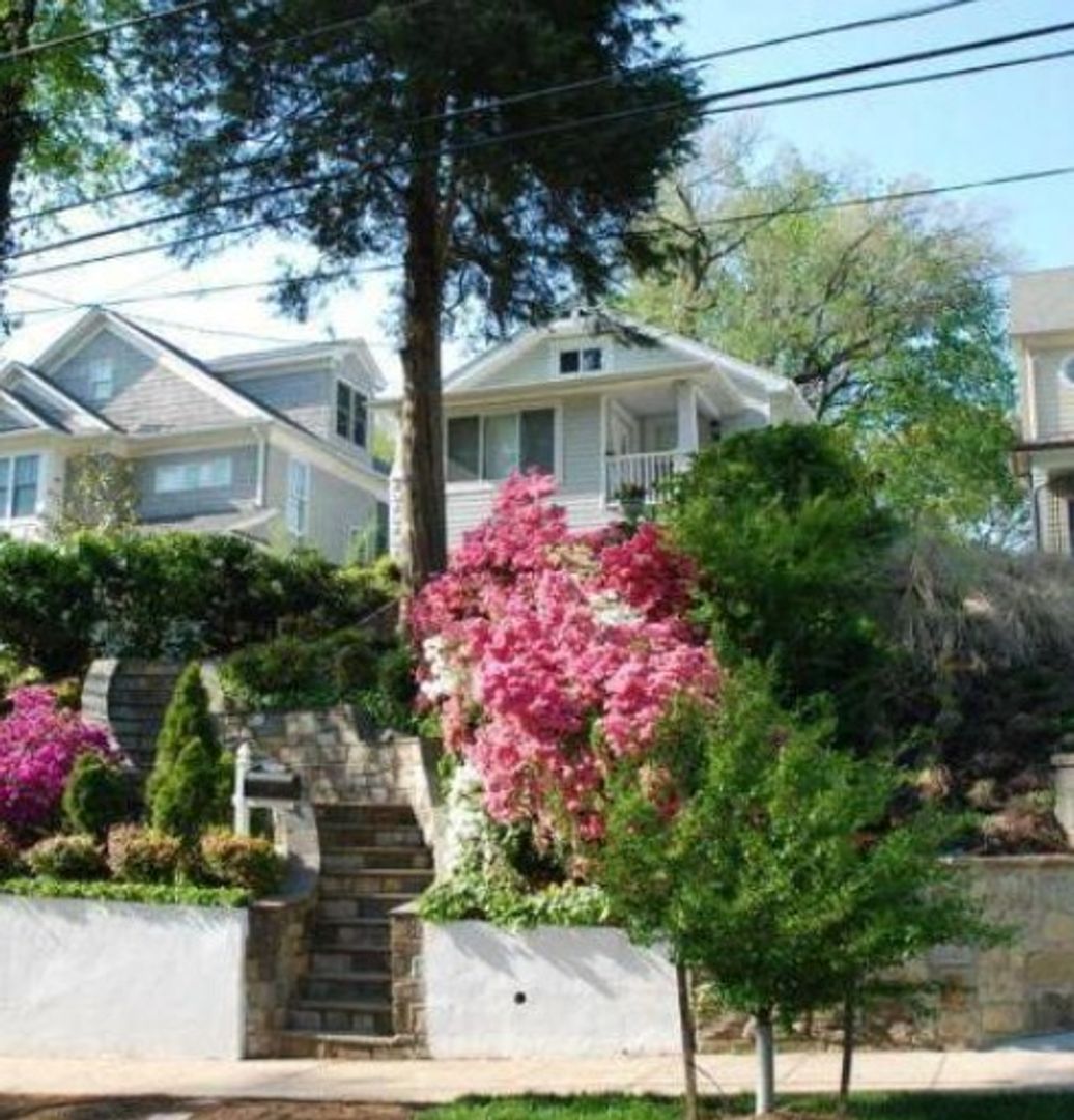 Palisades Splendor