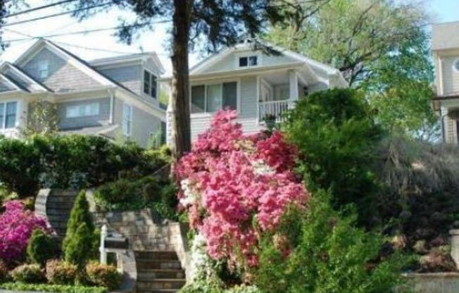 Palisades Splendor