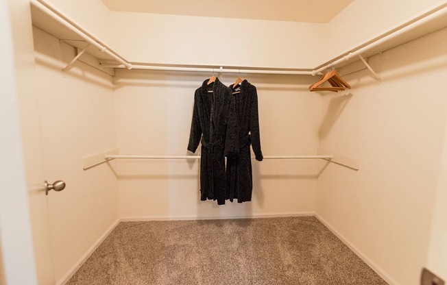 Kent Apartments - Signature Pointe Apartment Homes - Closet