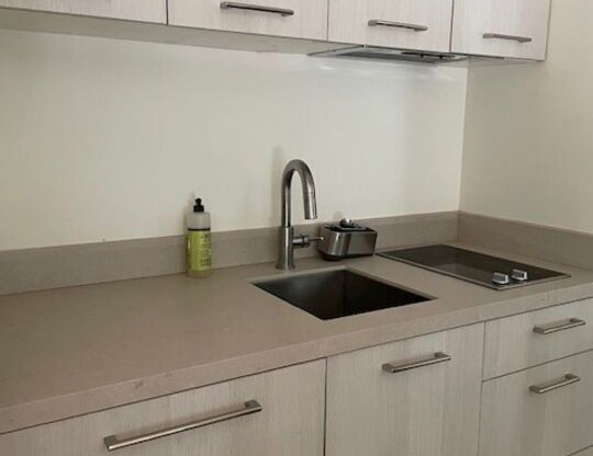 Studio, 1 bath, 365 sqft, $2,500, Unit 103