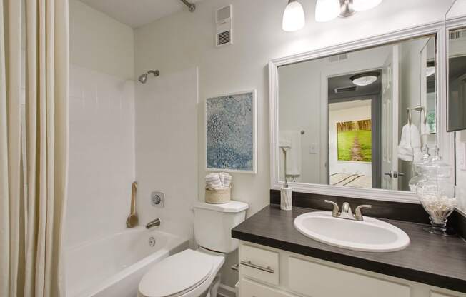 Bathroom With Vanity Lights at Timberwalk at Mandarin Apartment Homes, Jacksonville