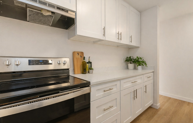 Approach at Jackson Park-Steps from Green. Minutes from Everywhere.