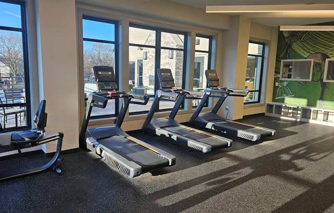 Gym- The Village Apartments - Wixom MI