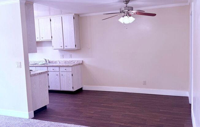 Huge 1 Bedroom in Quiet Neighborhood