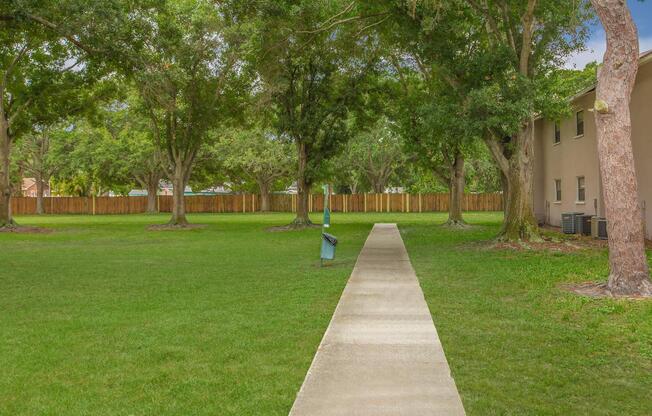 a large lawn in front of a tree