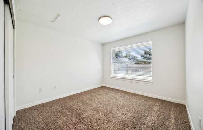 A room with a carpeted floor and a window with blinds.