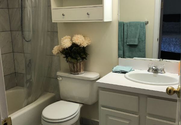 1 bed, 1 bath, , $3,200, Unit 10