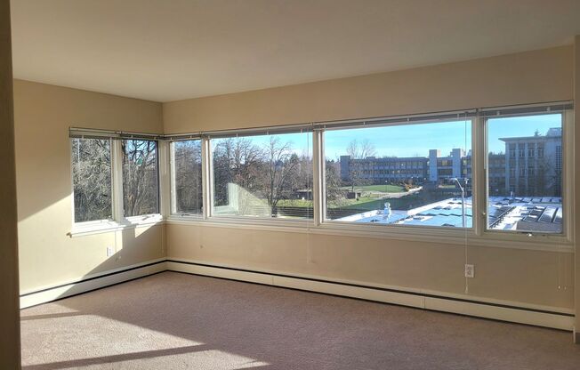 2 beds, 1 bath, 777 sqft, $1,600, Unit 310