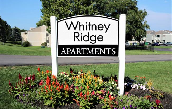 Whitney Ridge Apartments