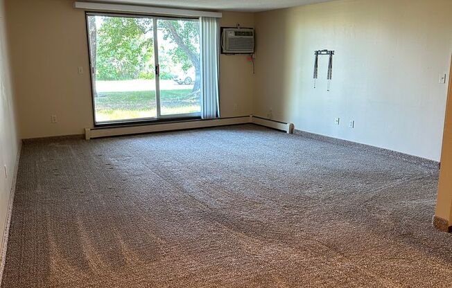 Move in ready! 1 bedroom condo in Roseville!