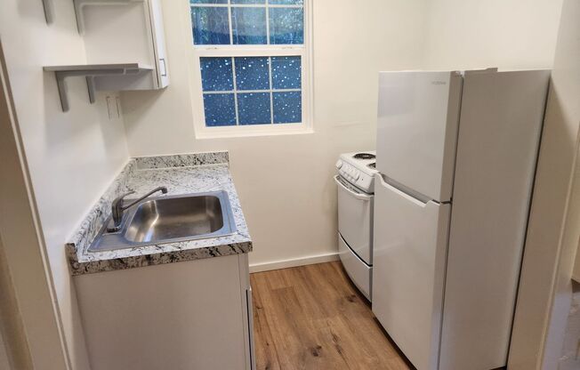 Studio, 1 bath, 700 sqft, $1,500, Unit Unit 2