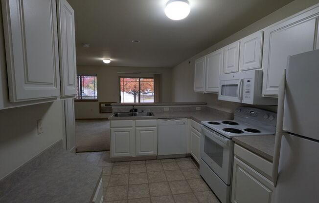 Studio, 1 bath, 502 sqft, $1,290, Unit 202-104