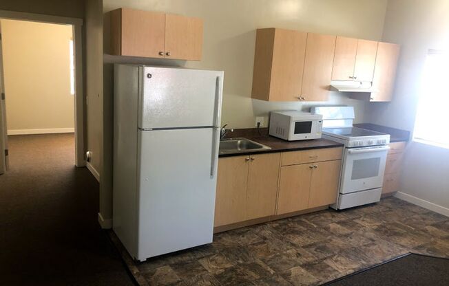 1 bed, 1 bath, 450 sqft, $965, Unit 4252-105