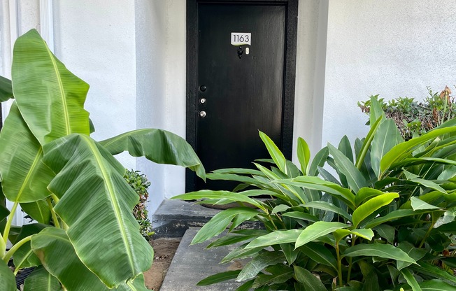 Entry Path
