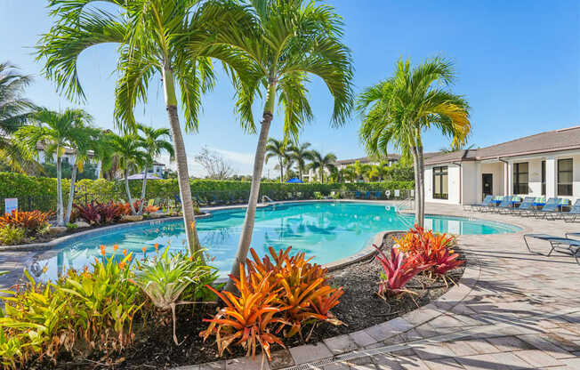 A pool surrounded by palm trees and plants.