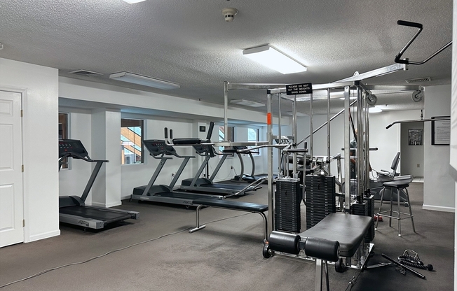 2 beds, 2 baths, 1,206 sqft, $3,500, Unit 1123