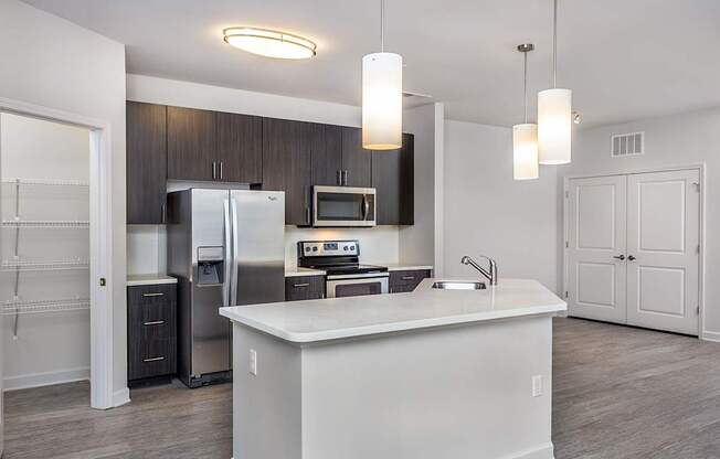 Large pantries in kitchens