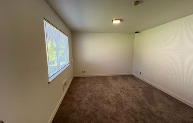 Twin Firs - 1 Bedroom - Lynnwood - Renovated Modern Apartments