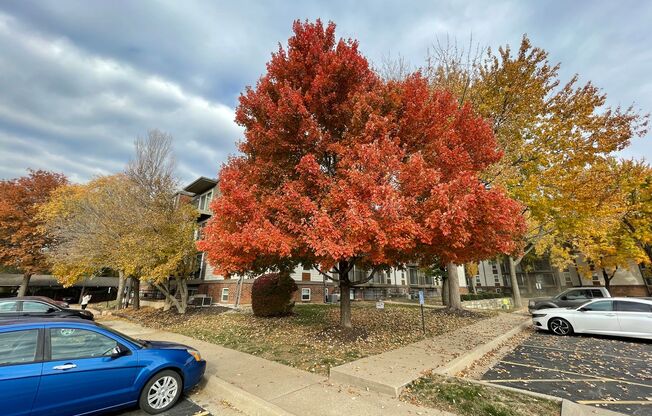 1 bed, 1 bath, 784 sqft, $1,150, Unit 7620409