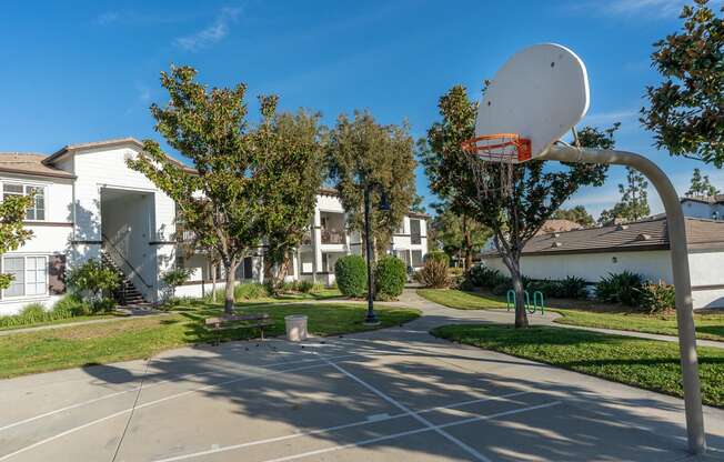 Basketball court