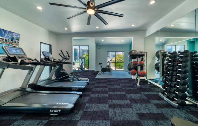 a home gym with treadmills and weights