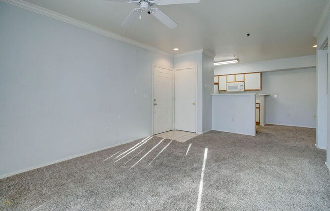 1 bed, 1 bath, 745 sqft, $1,300, Unit 2072