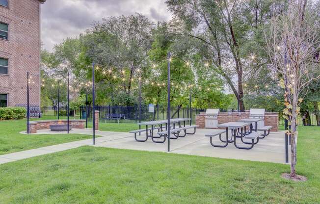 Picnic area with BBQ's and fire pit with lights around and trees