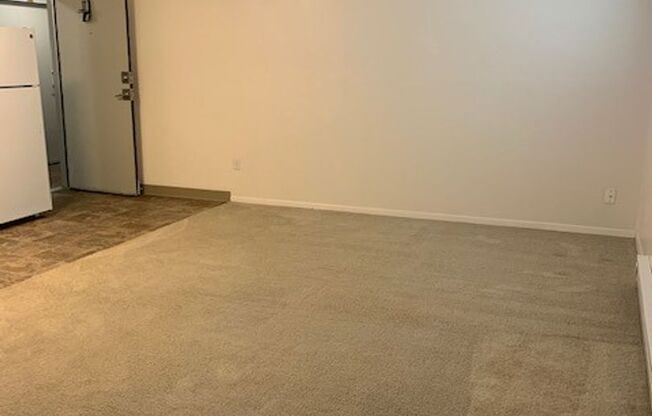 Studio, 1 bath, 350 sqft, $1,025, Unit 105