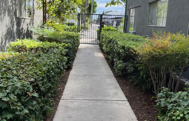 1 bed, 1 bath, 525 sqft, $1,975, Unit 9101-2