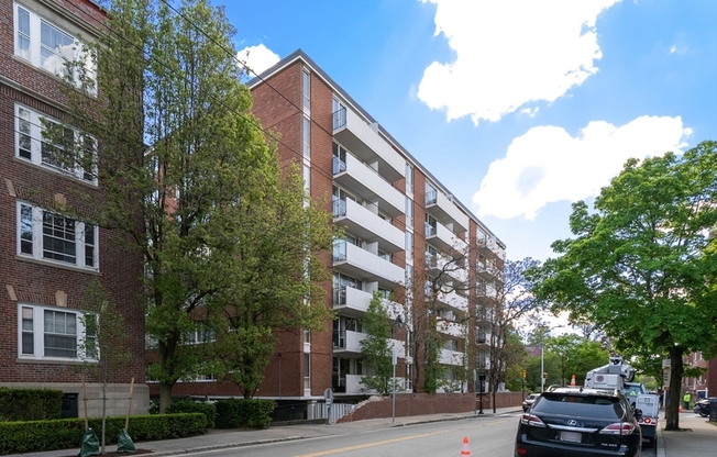 1 bed, 1 bath, 498 sqft, $3,300, Unit 302
