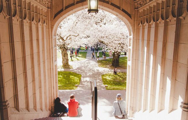 Studio, 1 bath, 330 sqft, $1,789, Unit 201