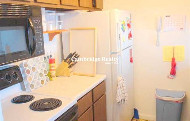 41 Belmont St