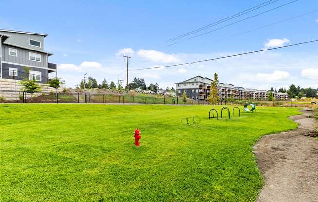 A red fire hydrant sits in the middle of a green grassy field.