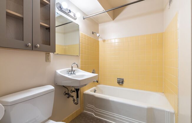 Studio, 1 bath, 423 sqft, $1,380, Unit 419