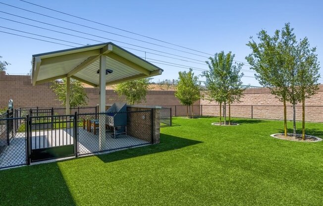 Dog play area with dog washing station