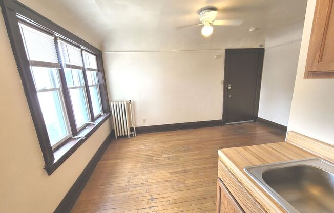 Studio, 1 bath, $700, Unit 101