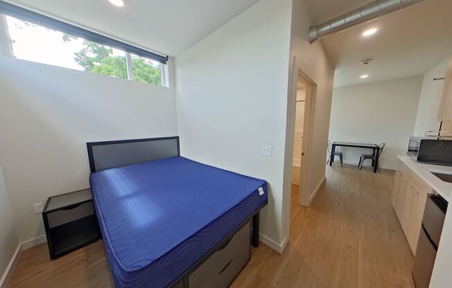 Studio, 1 bath, 314 sqft, $1,300, Unit 314